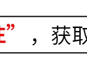 开云体育app下载-《歌手2026》帮唱嘉宾官宣，阵容被骂是闹剧！谁输谁赢一目了然